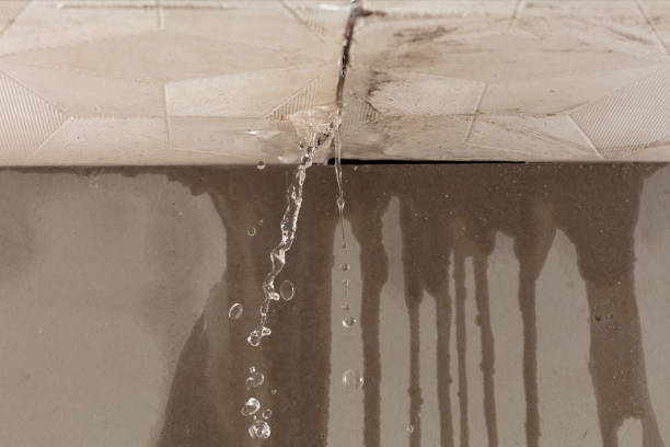 Professional Structural Drying technician working in West Jefferson, OH
